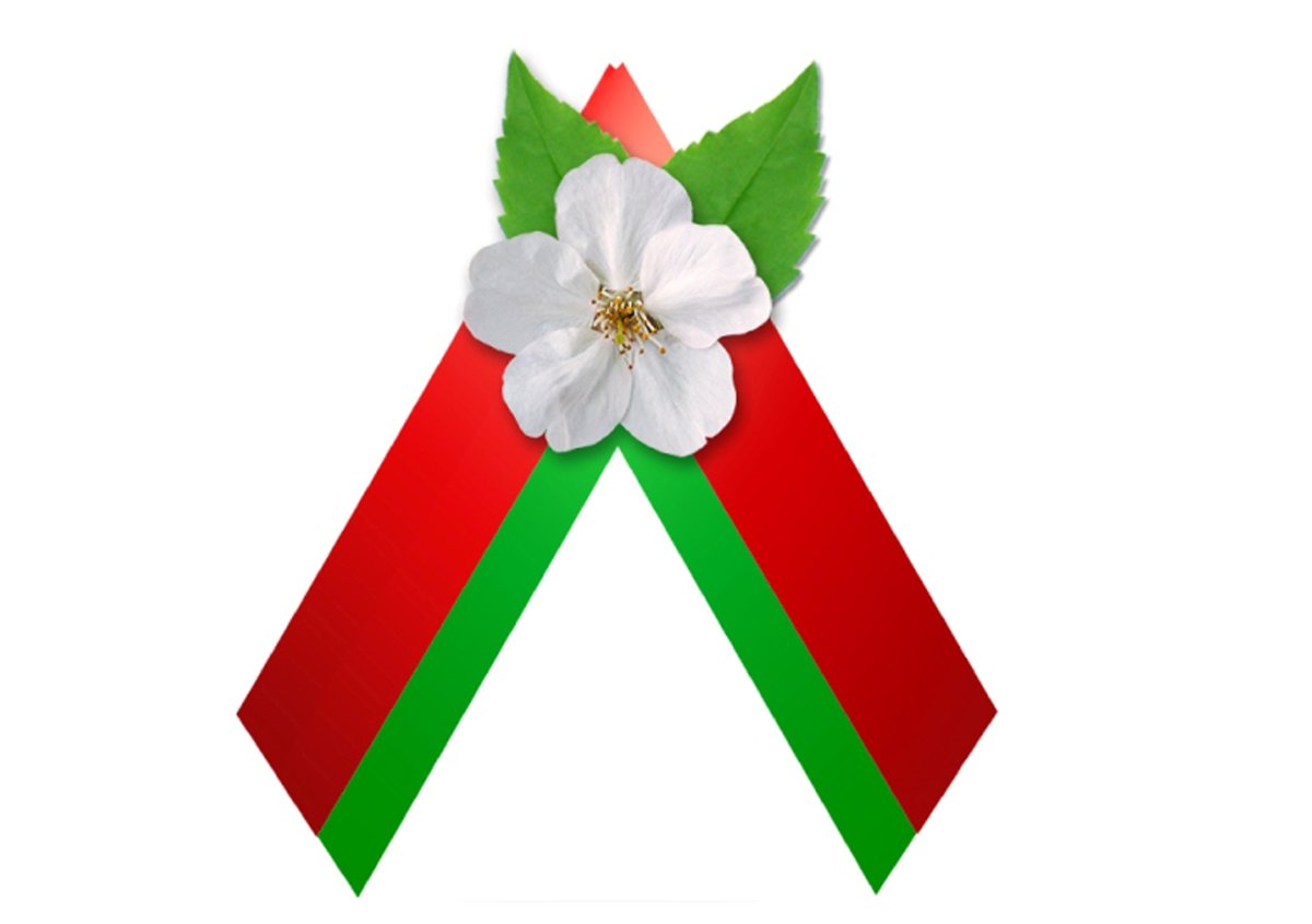 1641447562 26 adonius club p tsveti pobedi 36