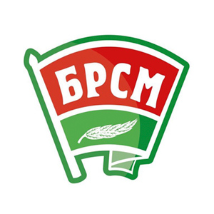 brsm logo 1